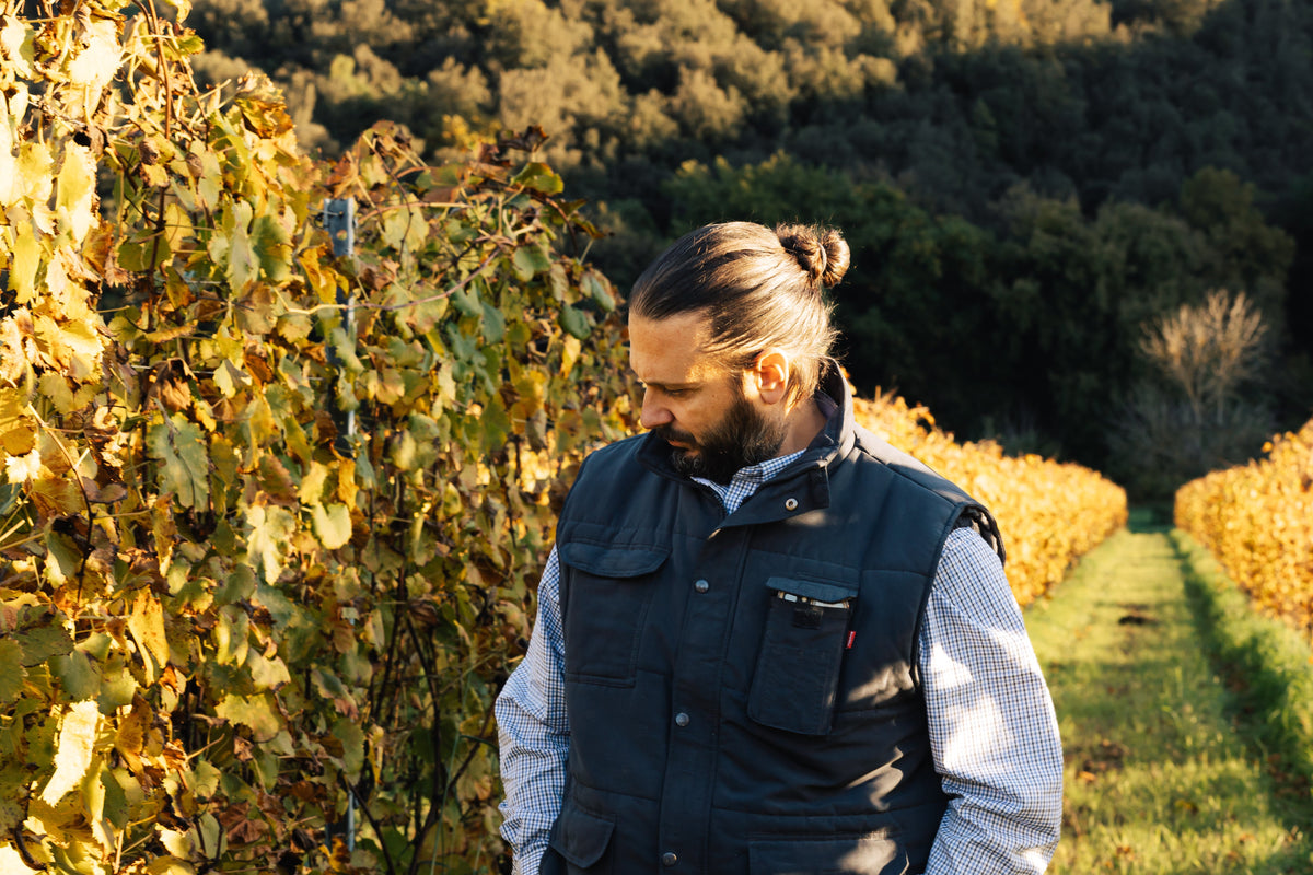 Producer Focus: Cantina Annesanti